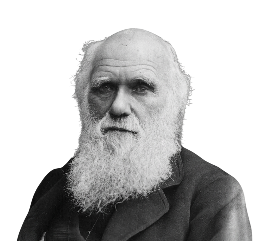 Portrait of Charles Darwin