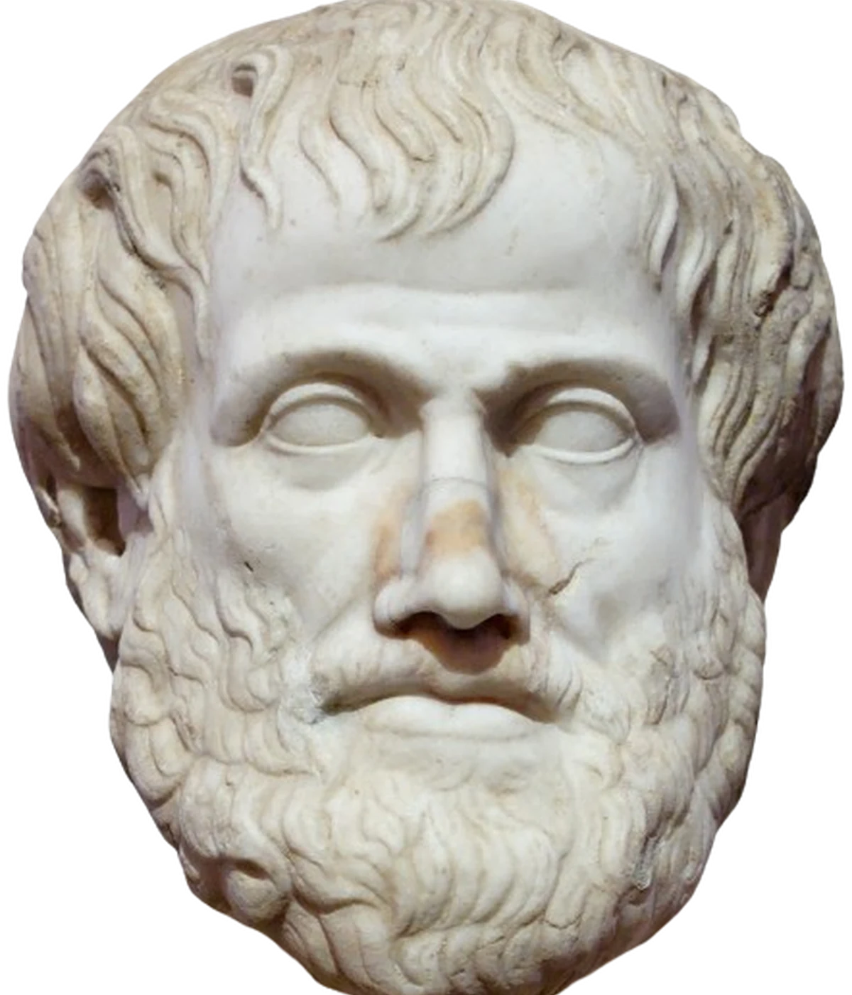 Portrait of Aristotle