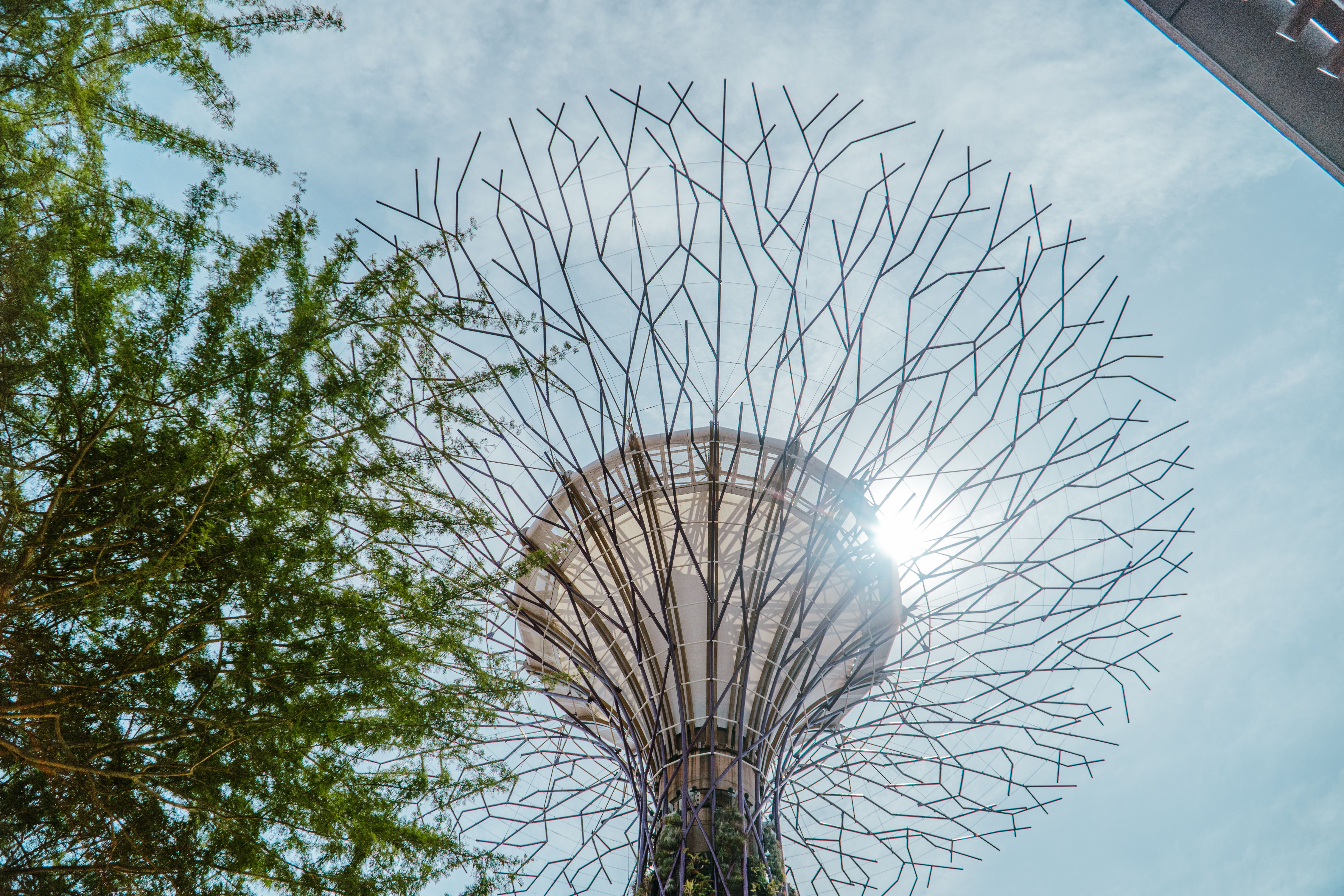 Green building facade in Singapore
