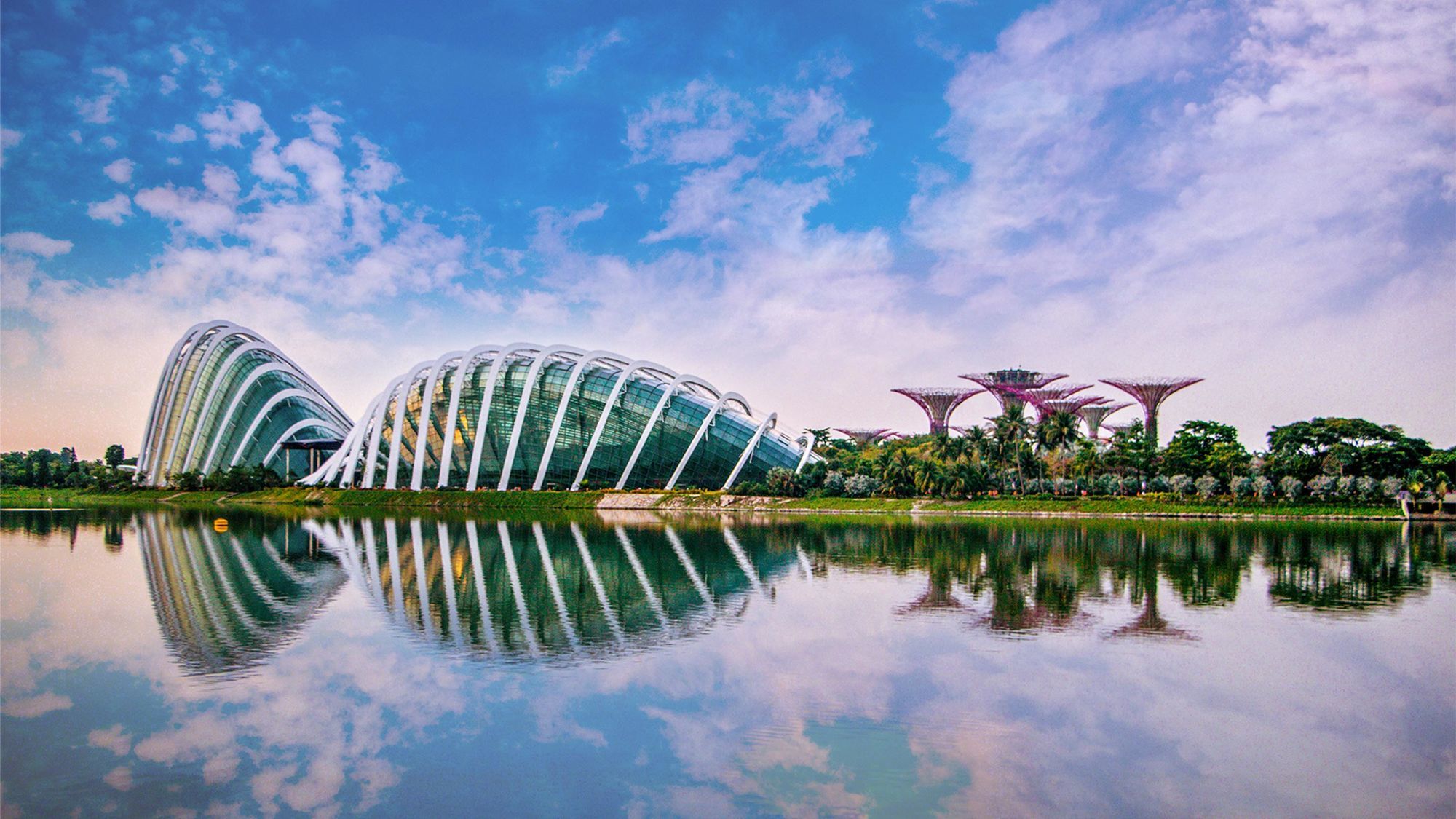 Gardens by the Bay and Singapore's urban greenery