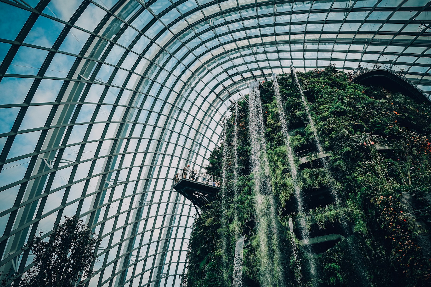 Singapore urban greenery